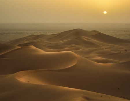 Lonely Man In The Desert