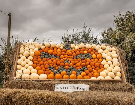 Heart Eye Pumpkin