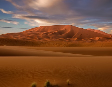 Candles in the Desert