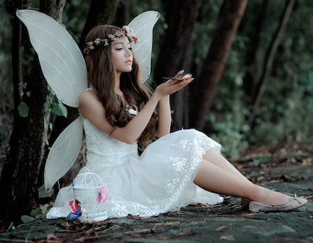 Dream Of Fairies