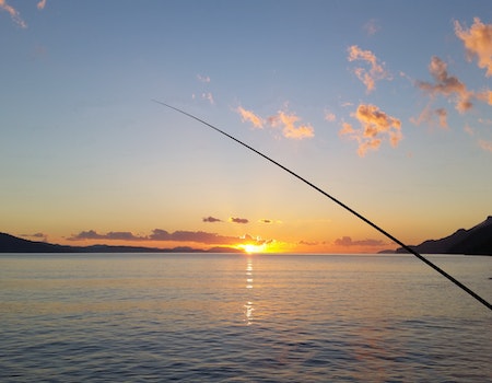 Maine Ocean Fishing